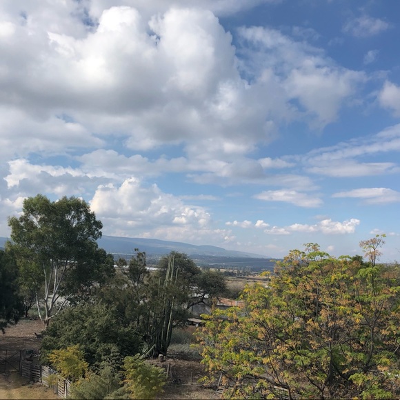 Meet your Posher, Nadia - Picture 1 of 1